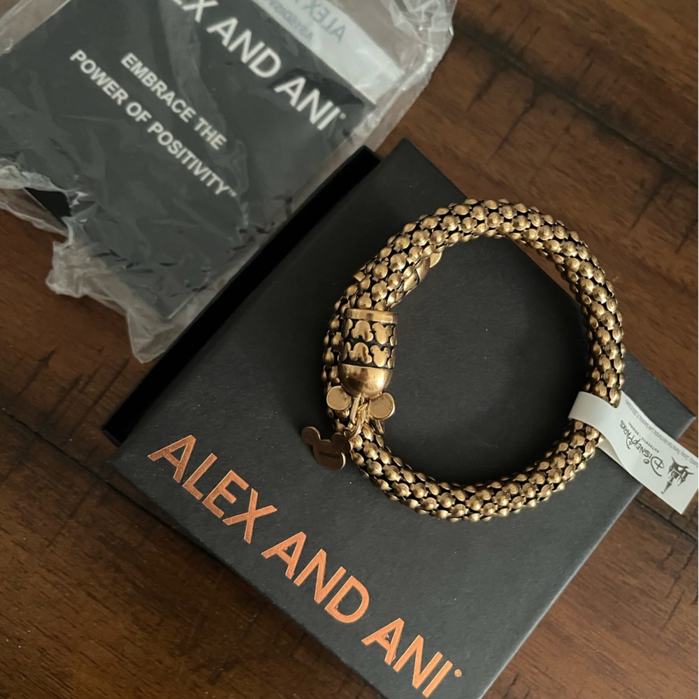 Gift of wisdom Disney Alex and Ani bracelet wrap